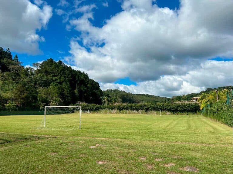 Campo de futebol gramado com gol e mata ao fundo